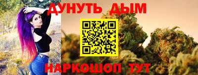 сатива Краснознаменск
